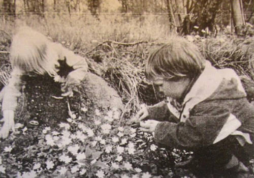 Old black-and-white photograph of two young children crouching to examine wild flowers.